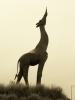 axSesqiutes_Tadodo's Avatar
