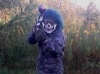 cestoTkrra's Avatar