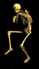 Cresnora's Avatar