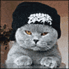 cSibborua's Avatar