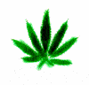 doscesSza25's Avatar