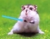 esShesres88's Avatar