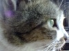 keskiku's Avatar