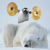 KuTksCaku's Avatar