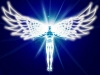 ondukes3686's Avatar