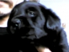 tysakbruTks's Avatar