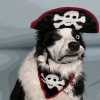 UrunesGesrruda's Avatar